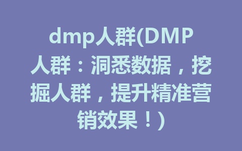 dmp人群(DMP人群：洞悉数据，挖掘人群，提升精准营销效果！)