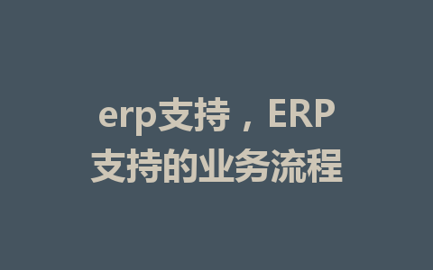 erp支持，ERP支持的业务流程